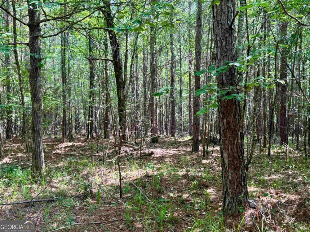 0 Springfield / Turner RD Union Point, GA 30669