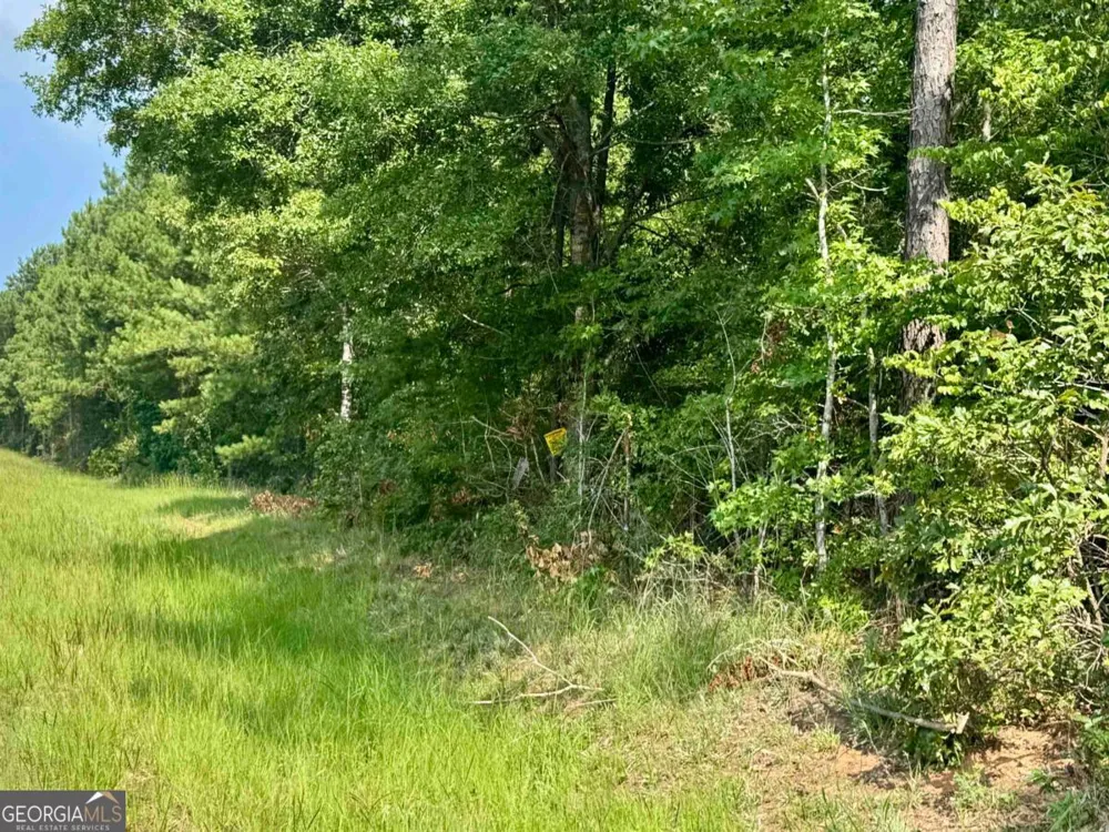 0 Springfield / Turner RD Union Point, GA 30669