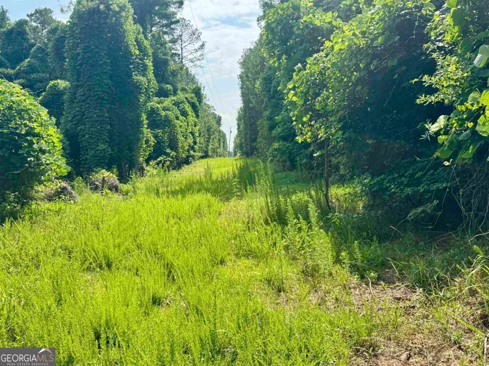 0 Springfield / Turner RD Union Point, GA 30669