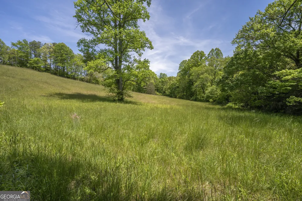 LOT 1-1A Jonica Gap RD Mineral Bluff, GA 30559