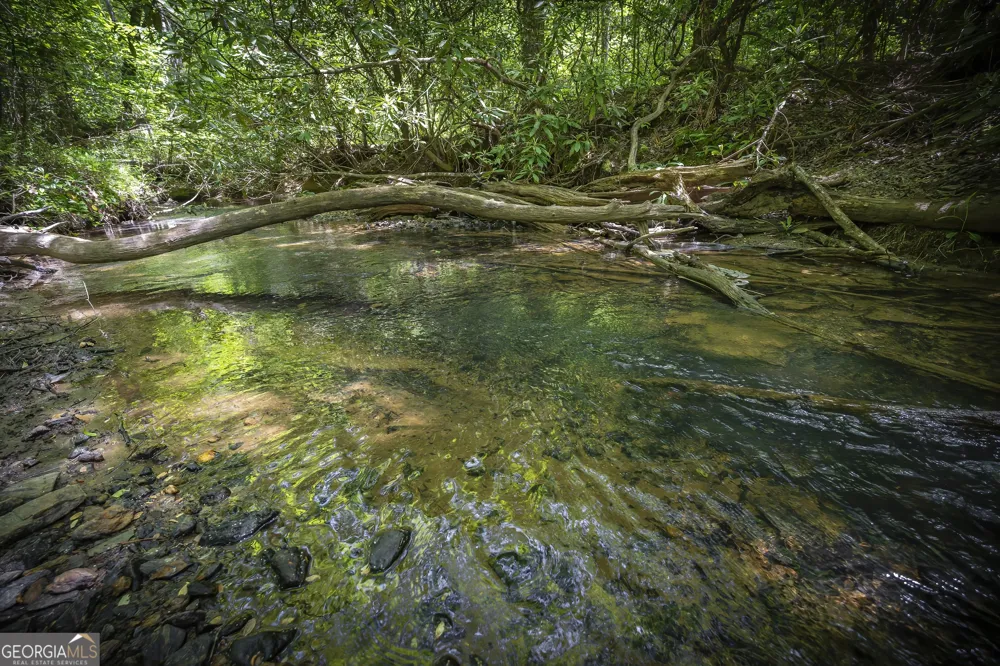 LOT 1-1A Jonica Gap RD Mineral Bluff, GA 30559