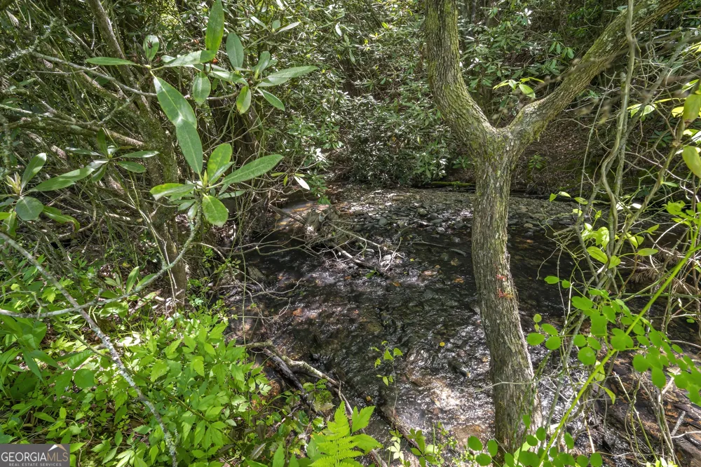LOT 1-1A Jonica Gap RD Mineral Bluff, GA 30559