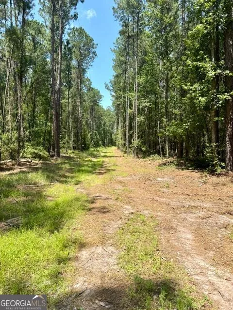 LOT 1 Kennedy Pond RD Statesboro, GA 30458