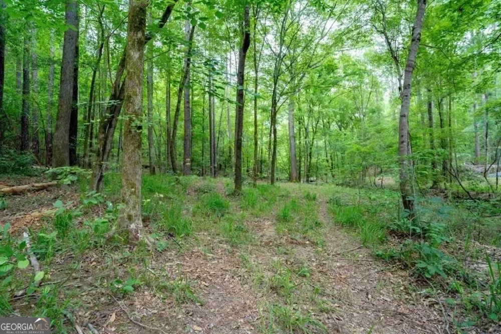 1411 Northwoods DR Greensboro, GA 30642