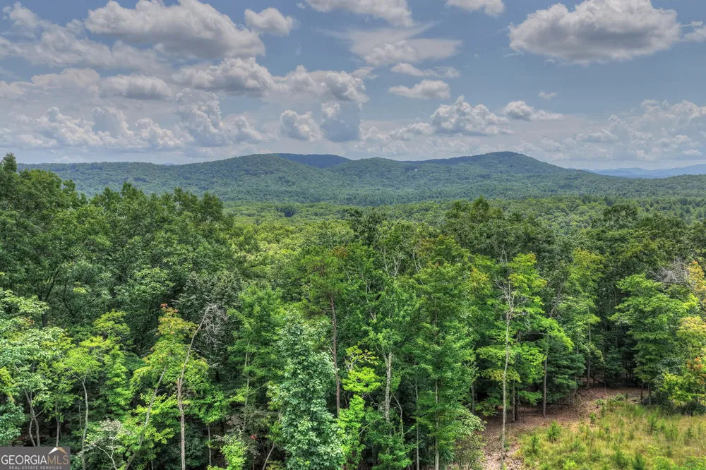 25 Boundless TRL Morganton, GA 30560
