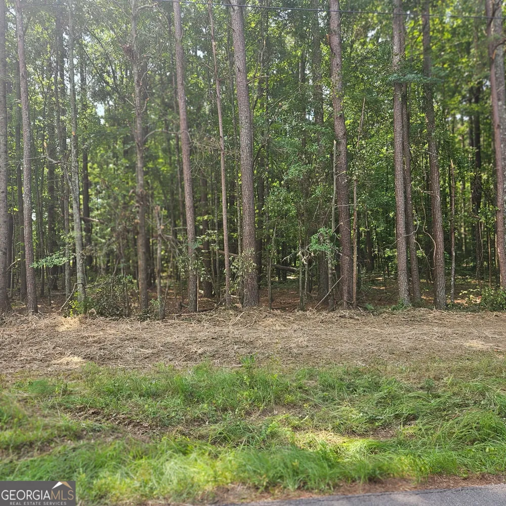 0 Academy Lane Rutledge, GA 30663