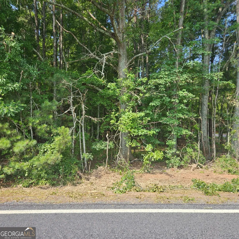 0 Academy Lane Rutledge, GA 30663