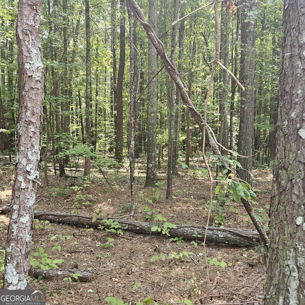 0 Academy Lane Rutledge, GA 30663