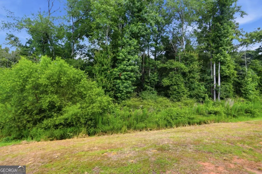 115 Culver ST Jackson, GA 30233