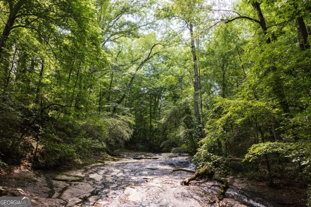 1381 Elder Mill RD Watkinsville, GA 30677