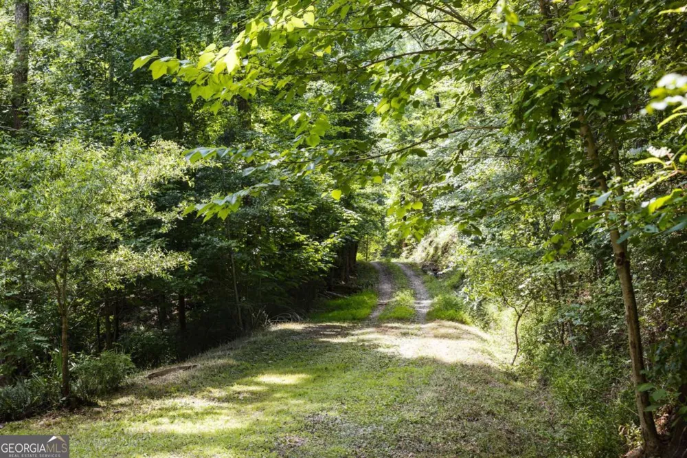 1381 Elder Mill RD Watkinsville, GA 30677