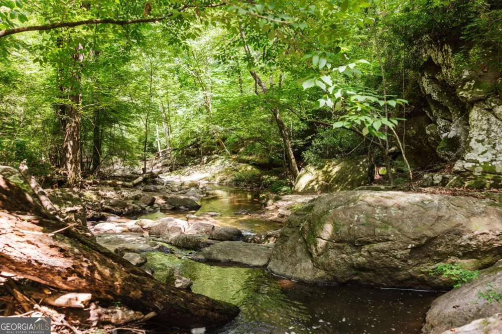 1381 Elder Mill RD Watkinsville, GA 30677