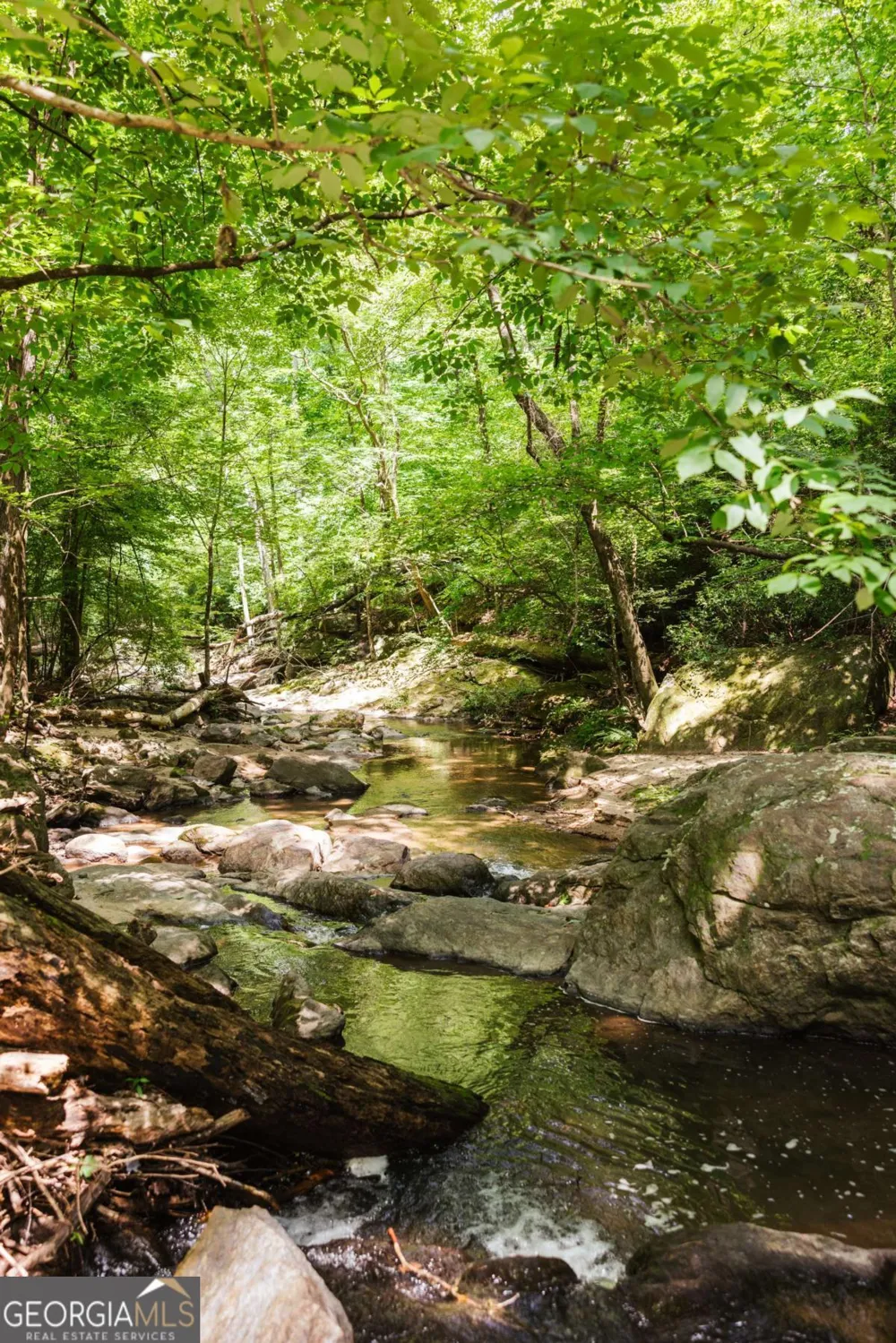 1381 Elder Mill RD Watkinsville, GA 30677
