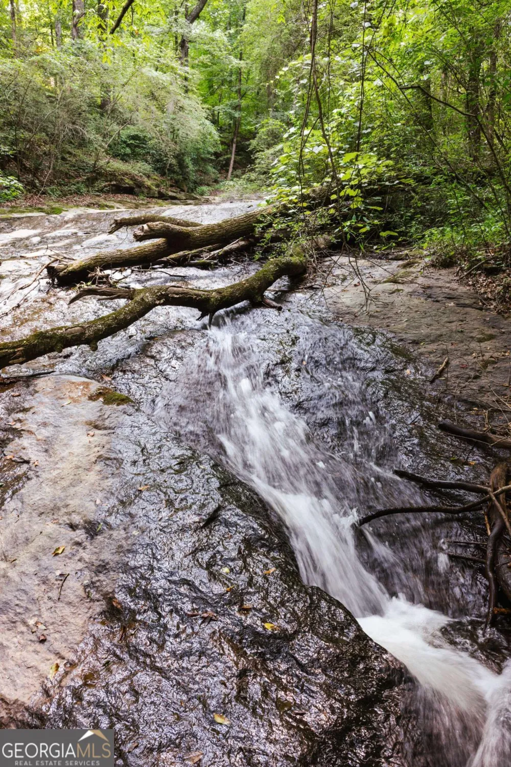 1381 Elder Mill RD Watkinsville, GA 30677