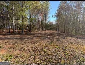 297 Amanda DR