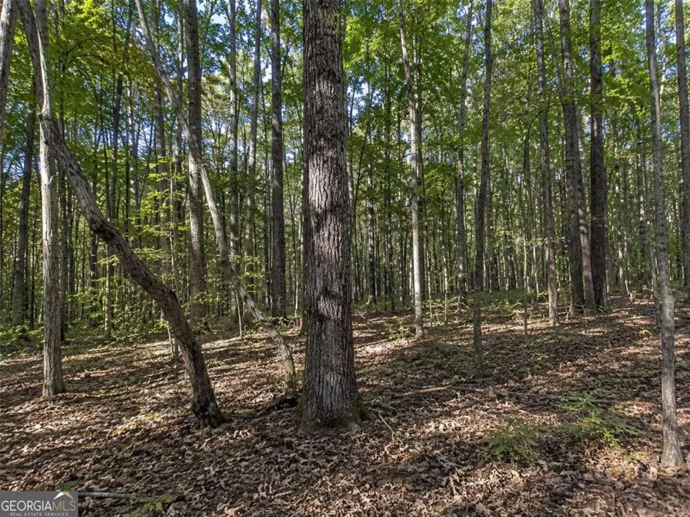 LOT 26 Waldrip RD Dawsonville, GA 30534
