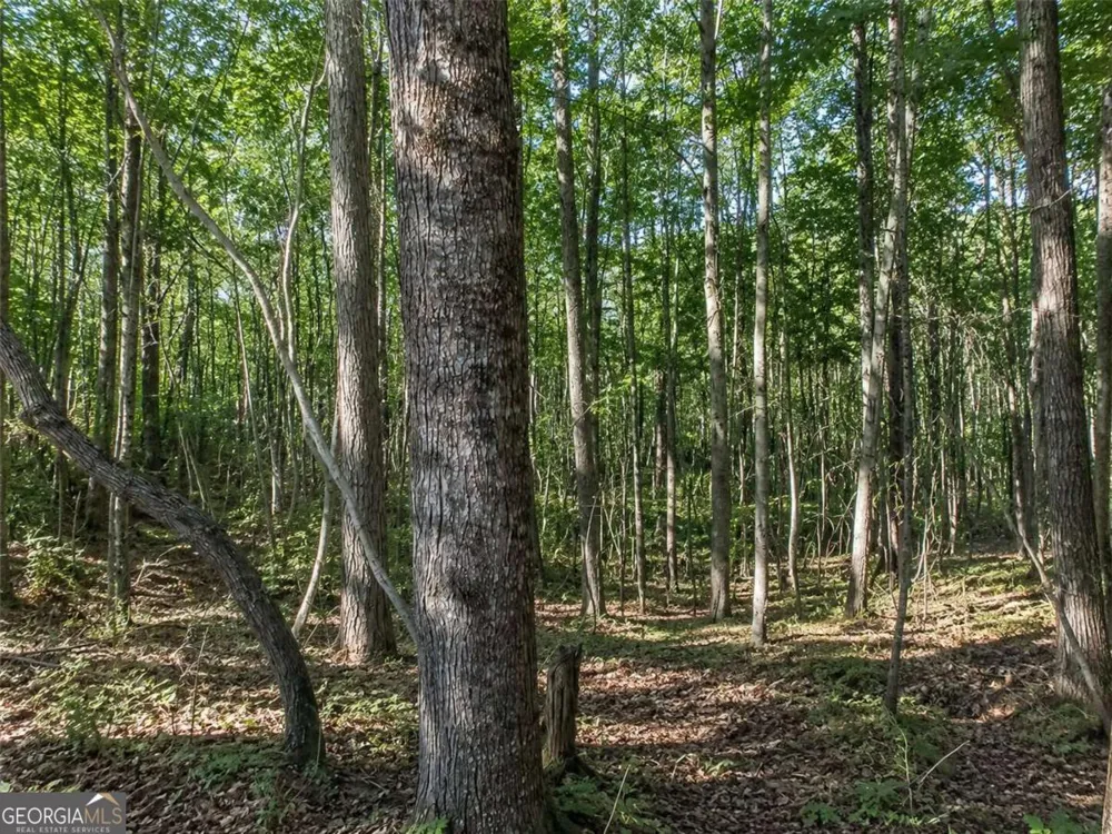 LOT 26 Waldrip RD Dawsonville, GA 30534