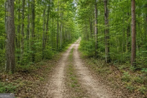 LOT 26 Waldrip RD