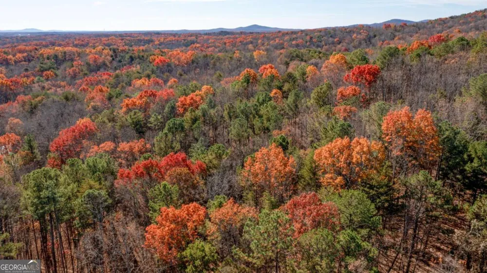 LOT 24 Waldrip RD Dawsonville, GA 30534