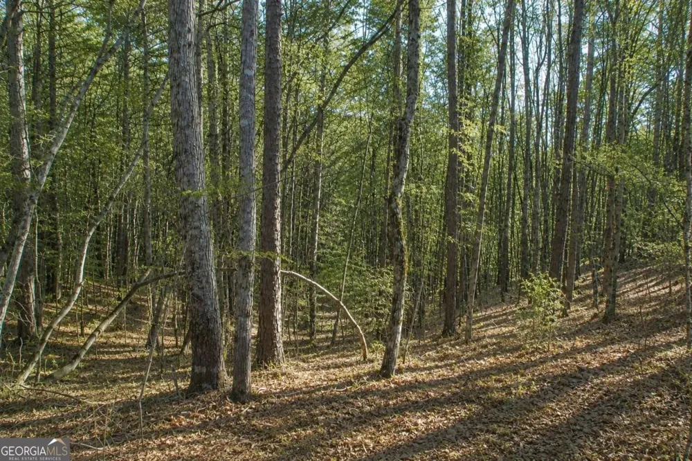 LOT 24 Waldrip RD Dawsonville, GA 30534