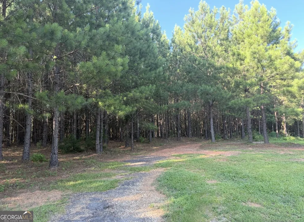 1939 Hwy 41 N Forsyth, GA 31029