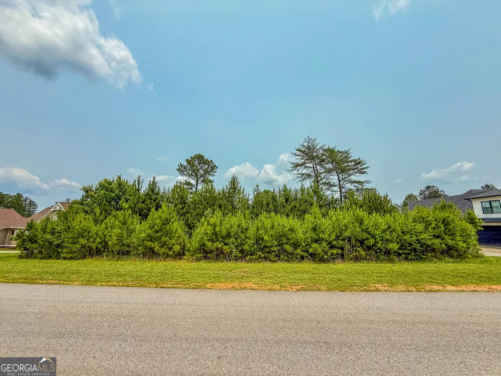 0 Ridge Pointe WAY Blairsville, GA 30512