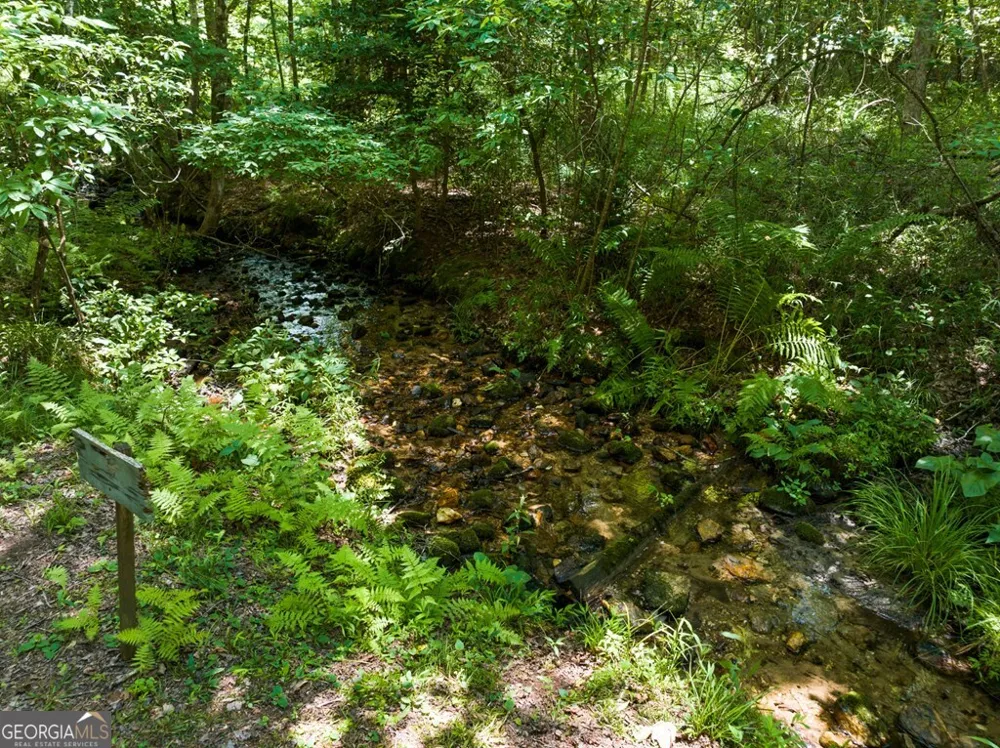 135 The Builders HL Morganton, GA 30560