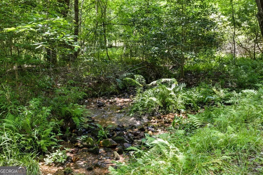 135 The Builders HL Morganton, GA 30560