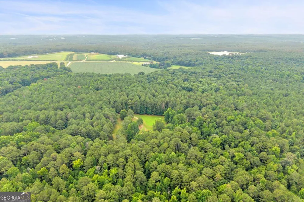 81 Paul LN Crawford, GA 30630
