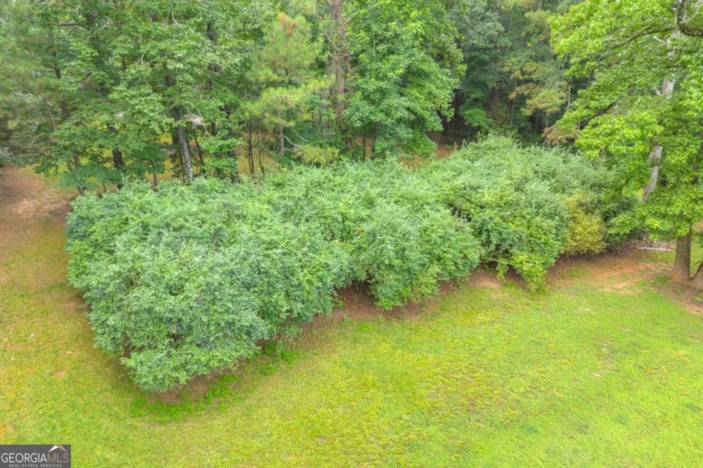 81 Paul LN Crawford, GA 30630