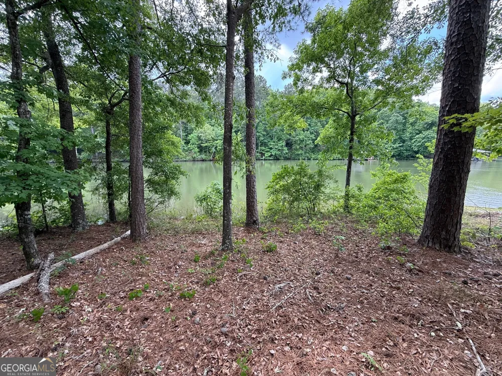 0 Hickory PASS Sparta, GA 31087