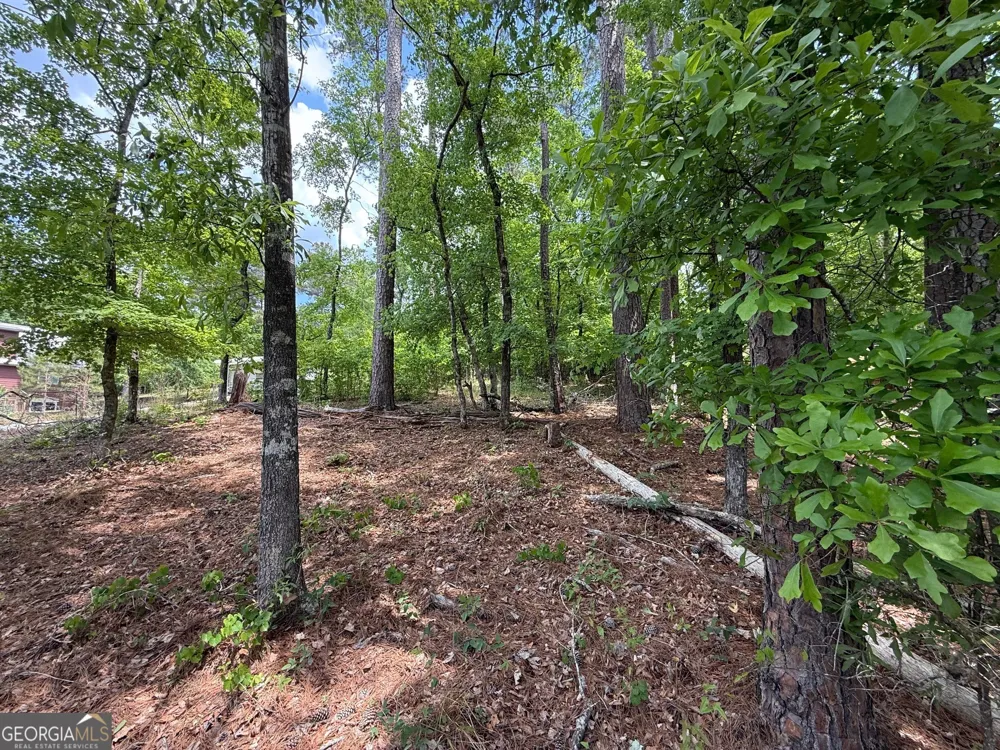 0 Hickory PASS Sparta, GA 31087