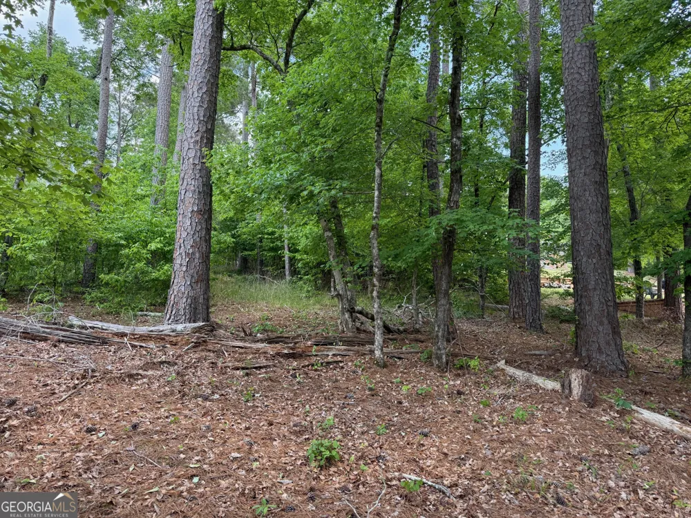0 Hickory PASS Sparta, GA 31087