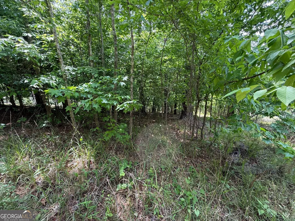 0 Hickory PASS Sparta, GA 31087