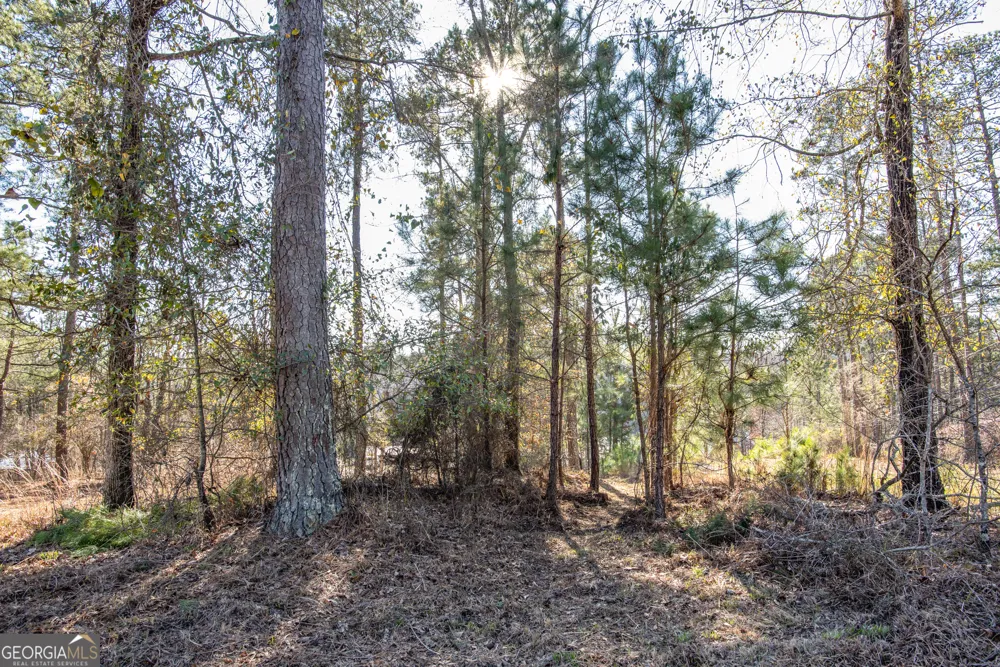 0 Hickory PASS Sparta, GA 31087