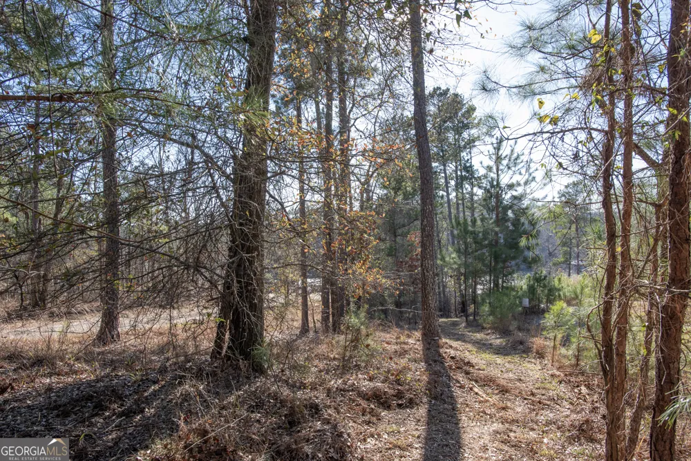 0 Hickory PASS Sparta, GA 31087