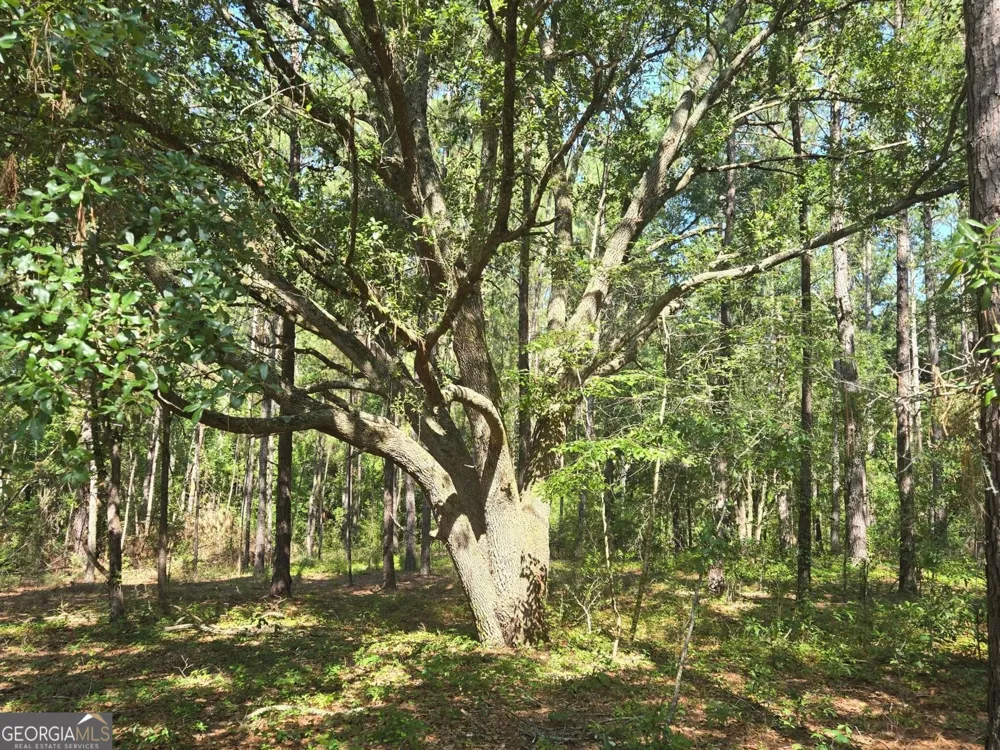 0 Live Oak DR Swainsboro, GA 30401