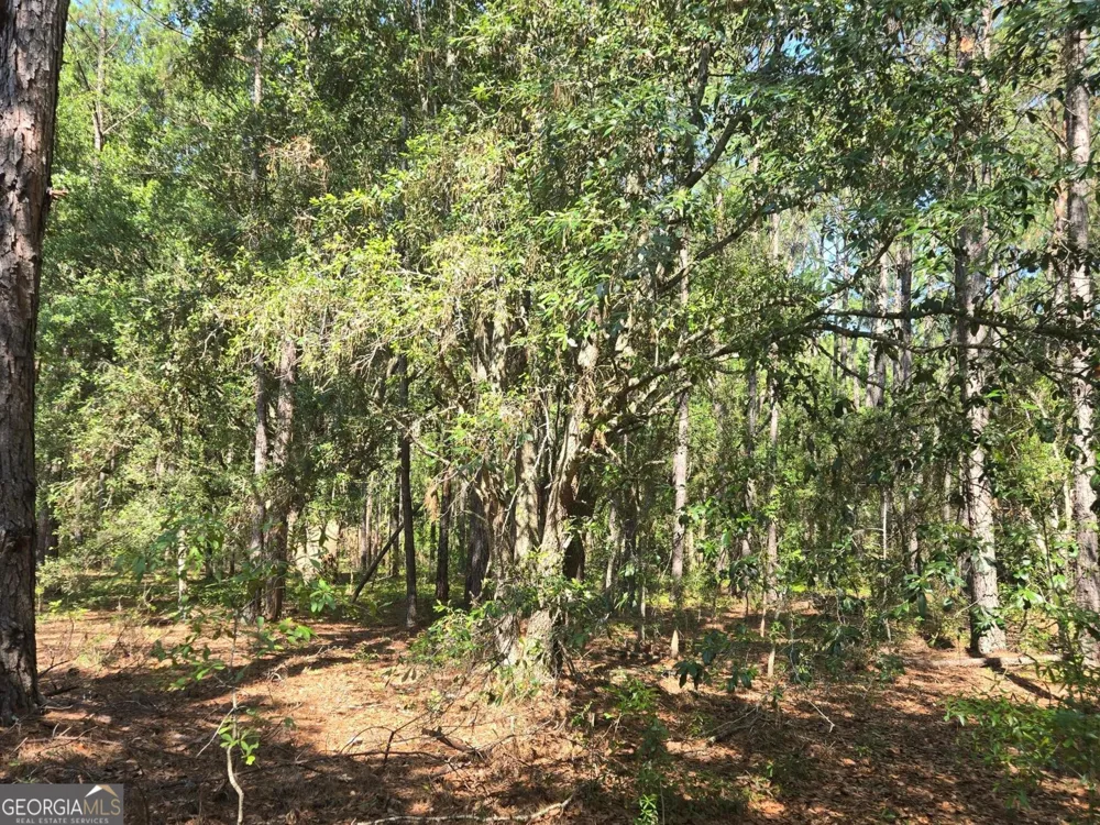 0 Live Oak DR Swainsboro, GA 30401