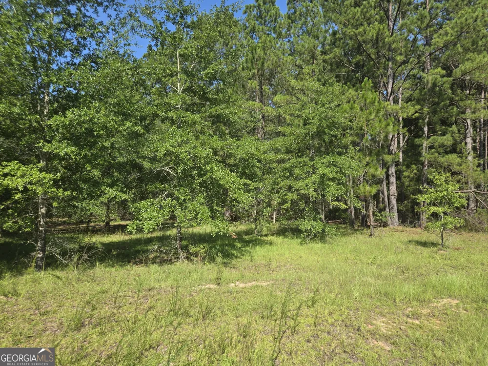 0 Live Oak DR Swainsboro, GA 30401