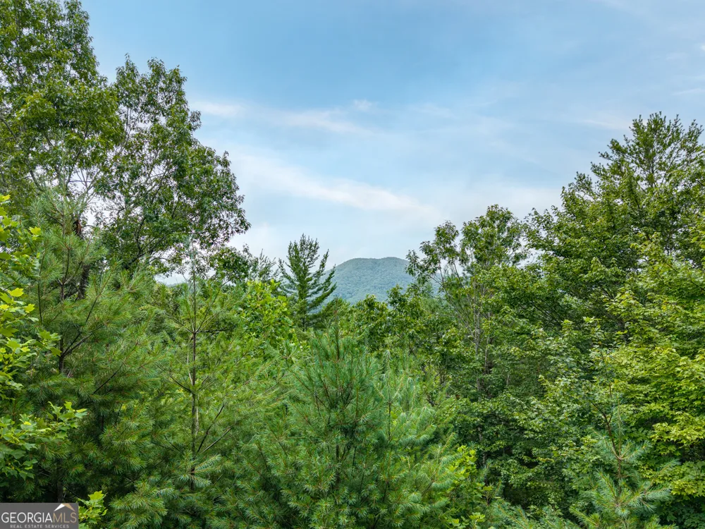 51 Hightower TRL Hiawassee, GA 30546