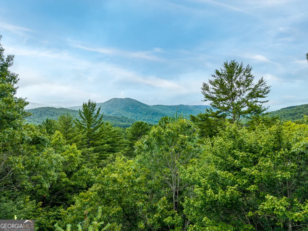51 Hightower TRL Hiawassee, GA 30546