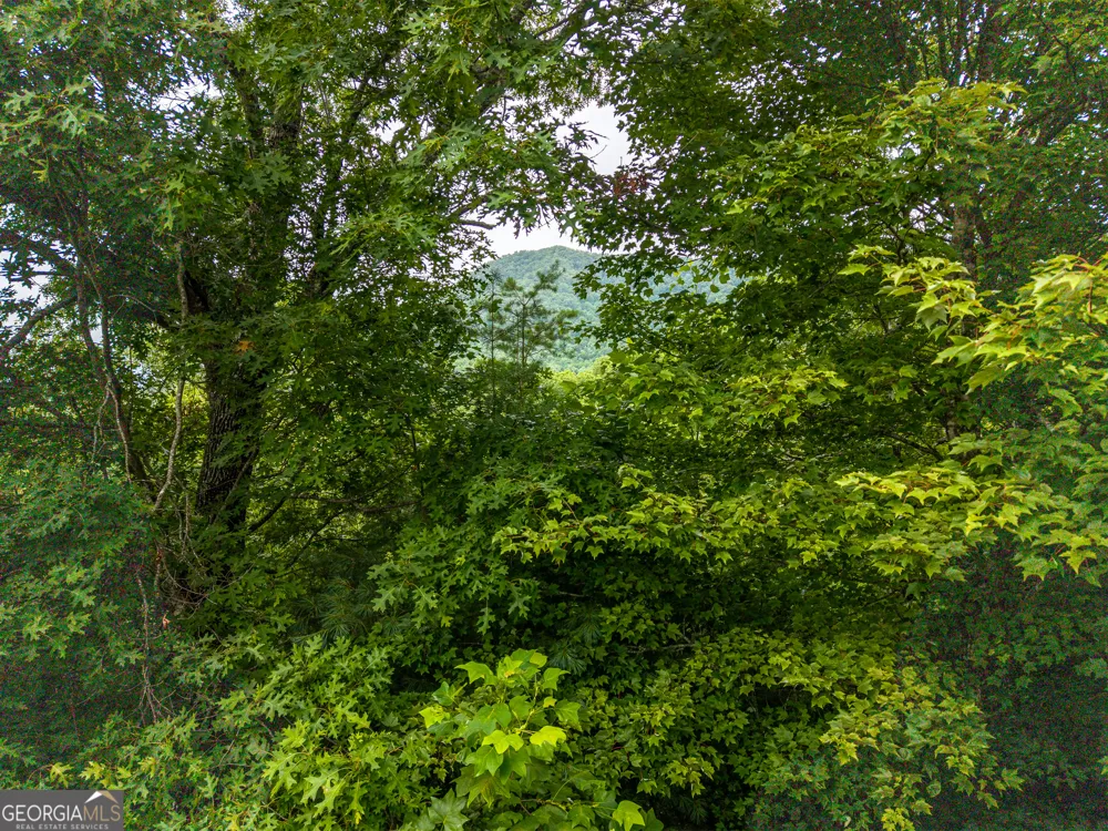 51 Hightower TRL Hiawassee, GA 30546