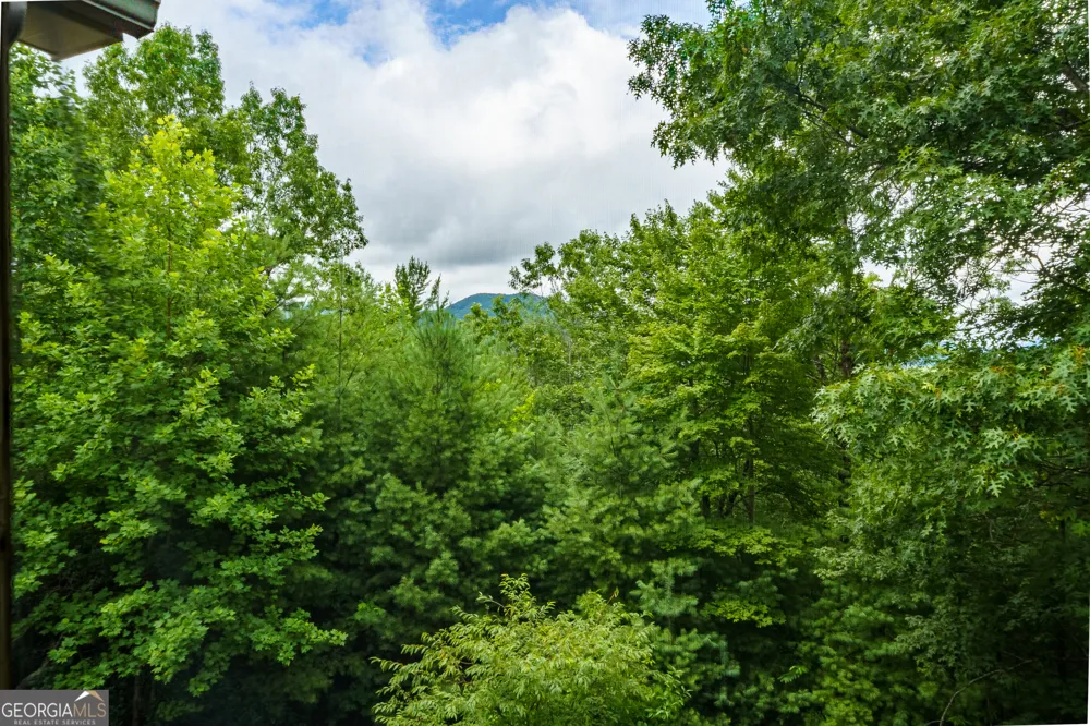 51 Hightower TRL Hiawassee, GA 30546