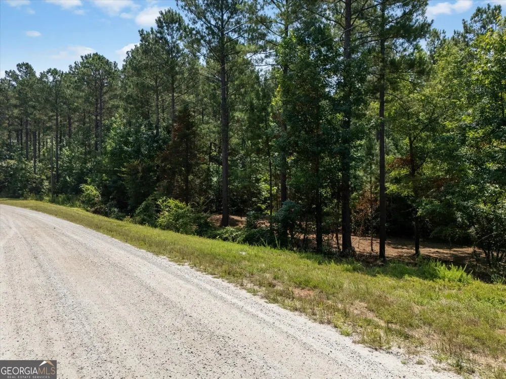 0 Hornets Bridge RD Elberton, GA 30635