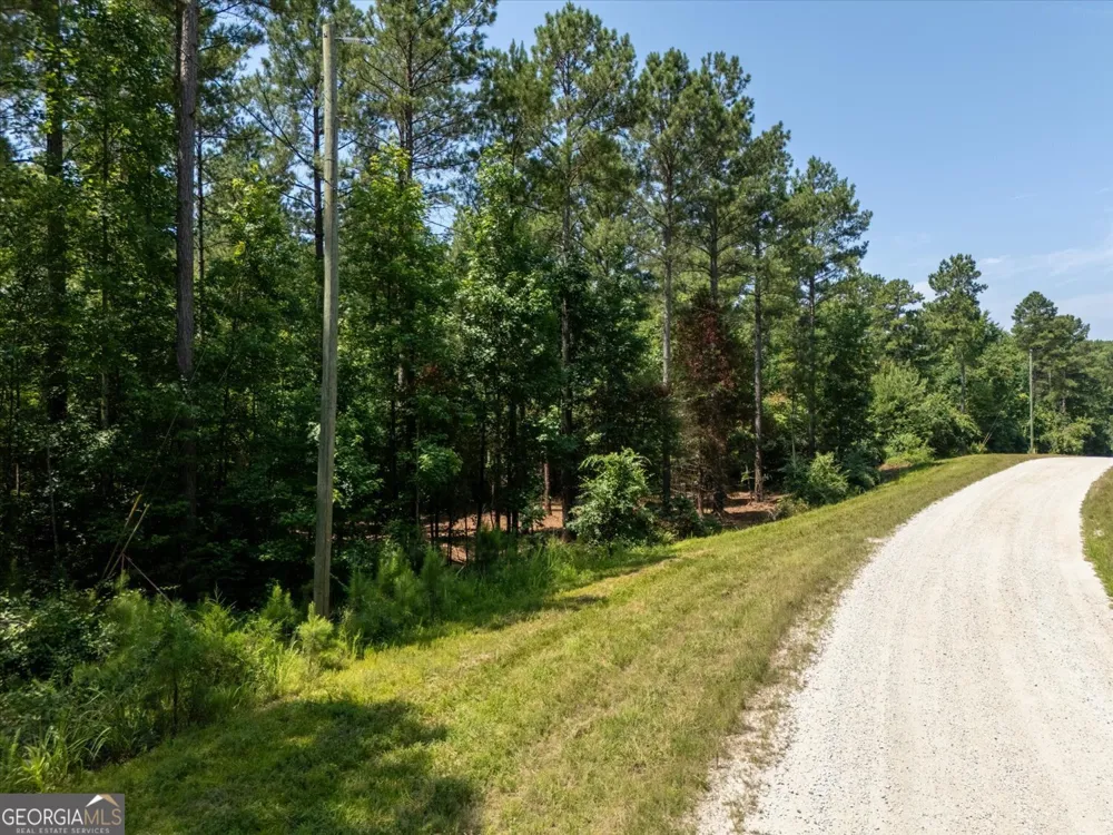 0 Hornets Bridge RD Elberton, GA 30635