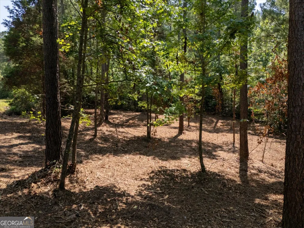 0 Hornets Bridge RD Elberton, GA 30635
