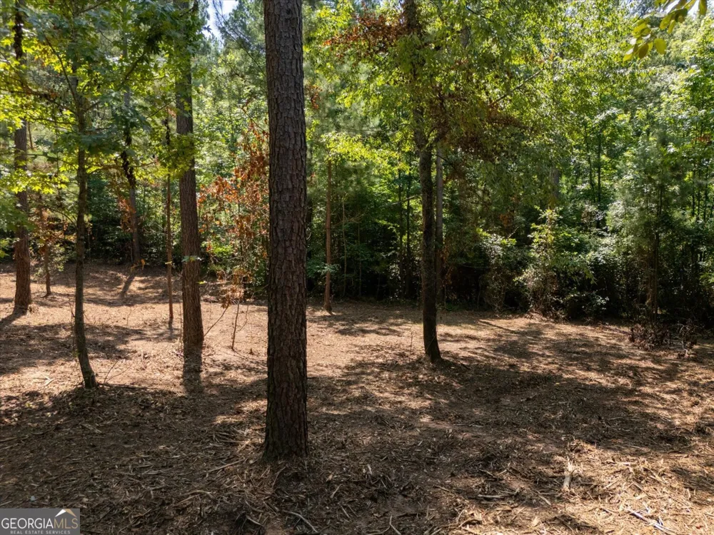 0 Hornets Bridge RD Elberton, GA 30635