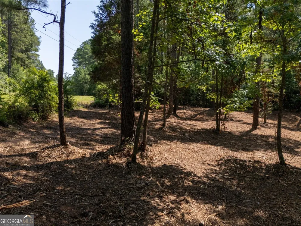 0 Hornets Bridge RD Elberton, GA 30635
