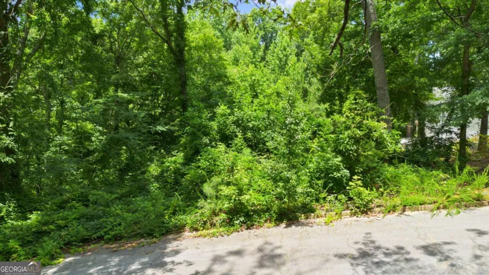 6804 Brookwood CT Douglasville, GA 30135