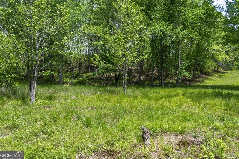 LOT 5-5A Waterstone WAY Mineral Bluff, GA 30559